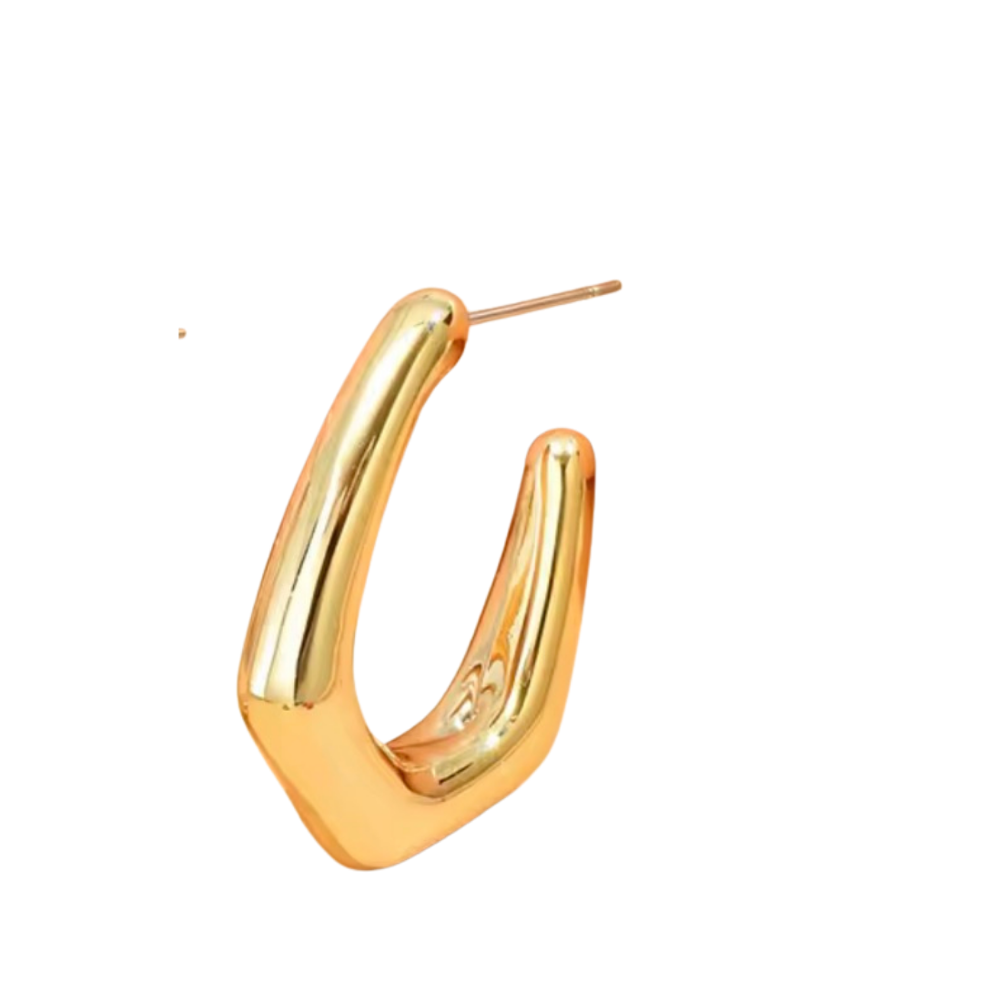 Sculpted Curve Hoops