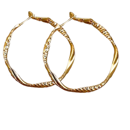 Geometric Twisted Medium Hoop Earrings